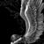 Stacy Schrankel Aldred's profile image