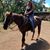 Nancy Klug's profile image