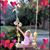 Alecia Burnett's profile image