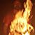 Shane Brickley's profile image