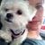 Gail Rigg's profile image