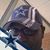 Dapperdon Smith's profile image