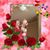 Christine Clark's profile image