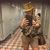 Donna Marie Cruz's profile image