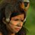 Barbara Boyer's profile image