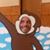 Greg Scelsi's profile image