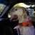 Lee Motlow's profile image