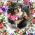 Amy Papendick's profile image