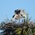 Thea Mathen's profile image
