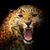 Leticia Trujillo's profile image
