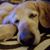 Carolyn Casper's profile image