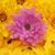 Katreana Matson West's profile image