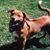 Dawn Britt's profile image