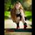 Angi Dailey VanFossen's profile image