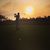 Brady Noland's profile image