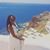 Orie Idah's profile image