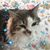 Beth Nicholas's profile image