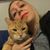 Erin M. Kovach's profile image