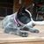 Staci Wheatcroft Brady's profile image