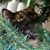 Melanie Bryson Purcell's profile image
