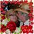 Carla Lee Hortman's profile image