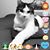 Tim Gibson's profile image