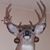 Kimberly Gorsline's profile image