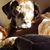 Katherine Jones's profile image