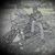 Tristan Imad Al'Din Davis's profile image