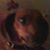 Mary Mckay's profile image