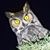 Eric Cee's profile image