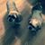 Betty Rich Talbot's profile image