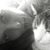 Tamara Lombardi's profile image