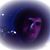 Dash Phillips's profile image