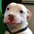 Jennifer McKevitt's profile image