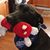 Cindy Richard Garcia's profile image