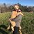 Kimberly Falgoust's profile image