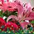Kristi Evoy Phillips's profile image