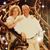 Brent-Cathy Casey's profile image