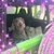 Beth Hopkins's profile image