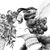 Nicole M Boitos Hayworth's profile image