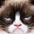 David Hancock's profile image