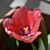 Melissa Blodgett's profile image