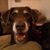 Daryll K Yarger's profile image
