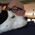 Brendan Mack Hagin's profile image