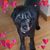 Gloria Carolyn McGuire's profile image