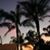 Oleta Pinger-Maynard's profile image