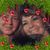 Gina Turner McCullough's profile image