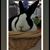 Jill Williams's profile image