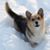 Anne Hofferkamp's profile image